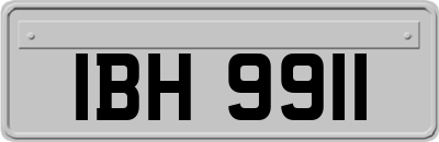 IBH9911