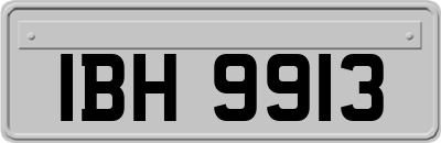 IBH9913