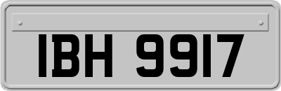 IBH9917