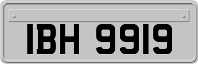 IBH9919