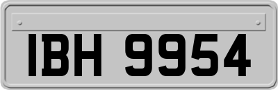 IBH9954