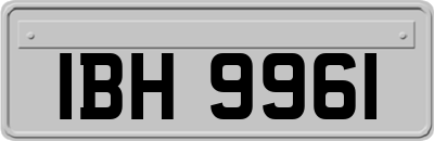 IBH9961