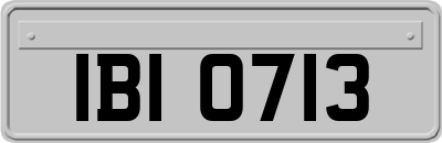 IBI0713