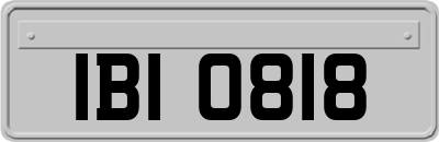 IBI0818