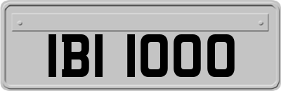 IBI1000