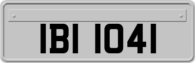 IBI1041