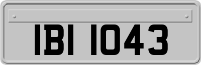 IBI1043