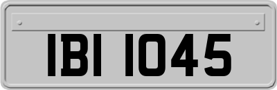 IBI1045