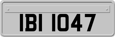 IBI1047