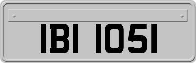 IBI1051