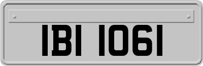 IBI1061