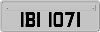 IBI1071