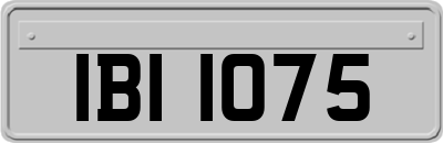 IBI1075