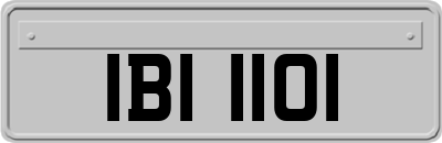 IBI1101