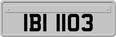 IBI1103