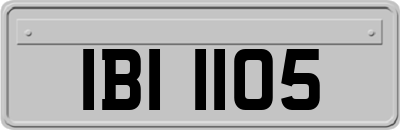 IBI1105