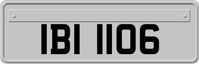 IBI1106