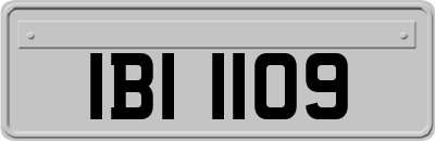 IBI1109