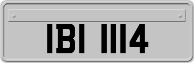 IBI1114