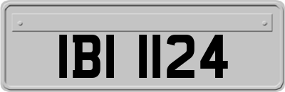 IBI1124