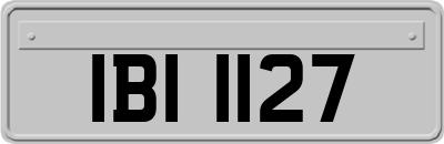 IBI1127