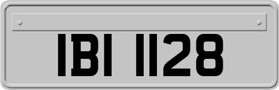IBI1128