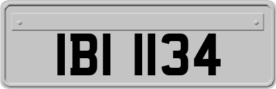 IBI1134