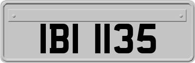 IBI1135