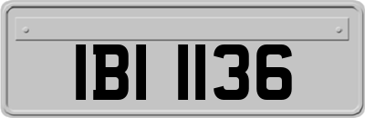 IBI1136