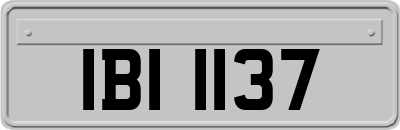 IBI1137