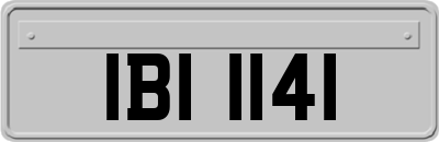 IBI1141