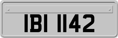 IBI1142