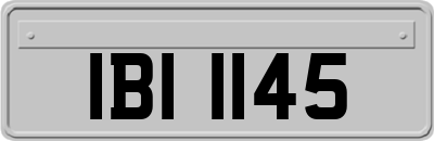 IBI1145