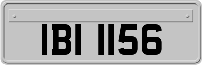 IBI1156