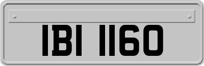 IBI1160