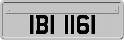 IBI1161