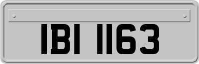 IBI1163