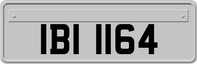 IBI1164