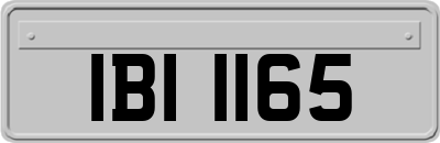 IBI1165