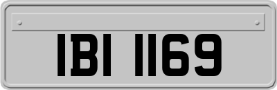 IBI1169