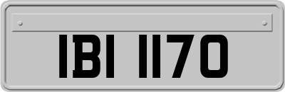 IBI1170