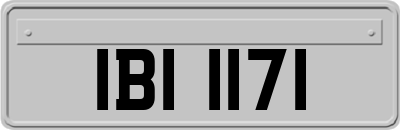 IBI1171