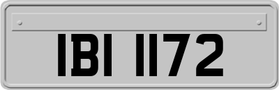 IBI1172
