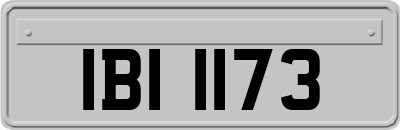 IBI1173