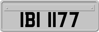 IBI1177