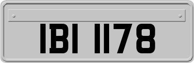 IBI1178