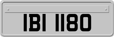 IBI1180