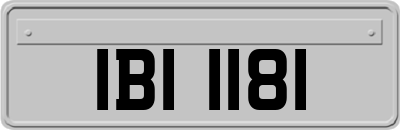 IBI1181