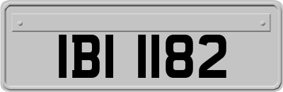 IBI1182