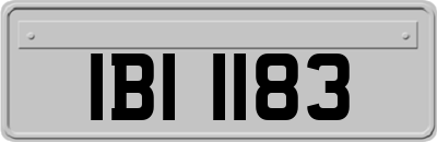 IBI1183